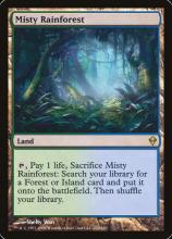 Misty Rainforest 雾漫雨林
