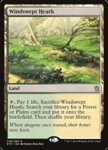 Windswept Heath 风袭荒地